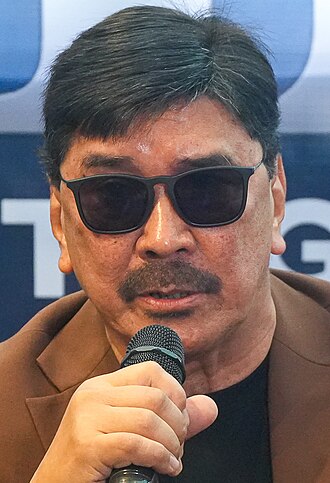 Portrait of Ben Tulfo