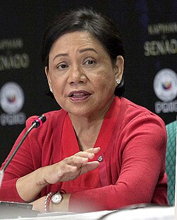 Portrait of Cynthia Villar