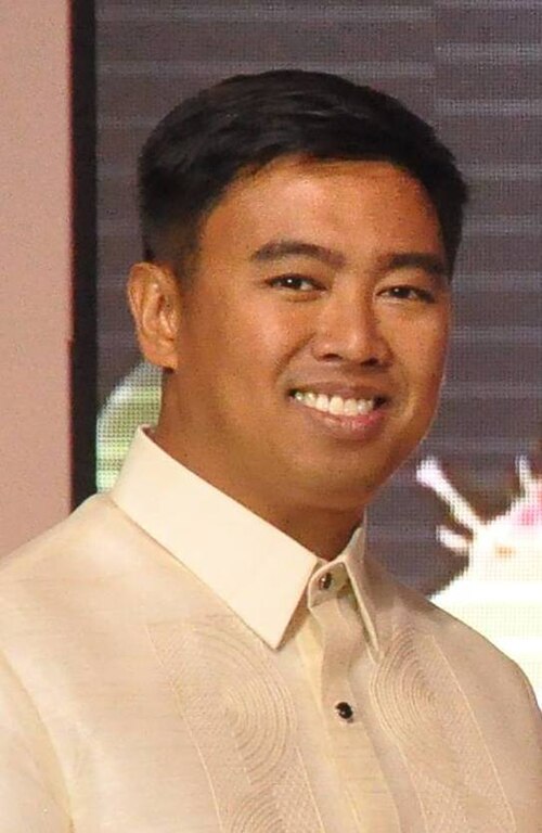 Portrait of Jejomar Erwin “Junjun” Binay