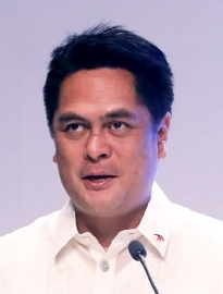 Portrait of Martin Andanar