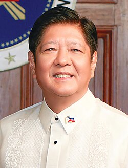 Portrait of Ferdinand “Bongbong” Marcos Jr.