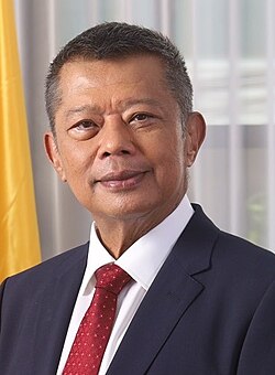 Portrait of Jesus Crispin “Boying” Remulla