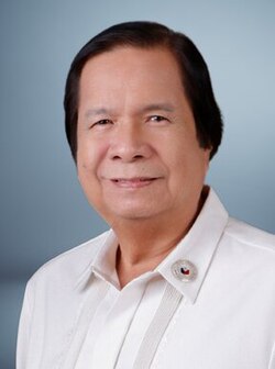 Portrait of Ramon Guico Jr.