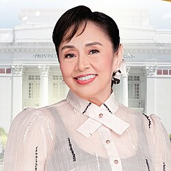 Portrait of Vilma Santos-Recto