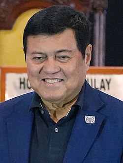 Portrait of Manuel “Manny” Villar