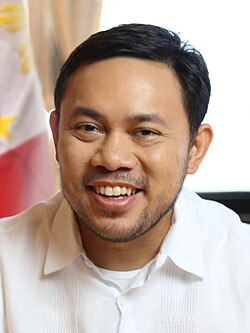 Portrait of Mark Villar