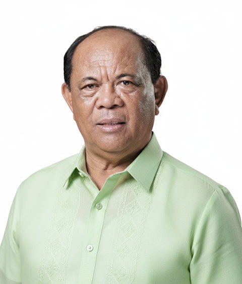 Portrait of Rogelio “Roger” Tamondong Taliño