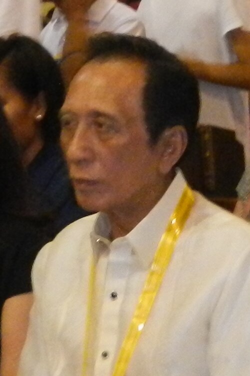Portrait of Vincent “Bingbong” Crisologo