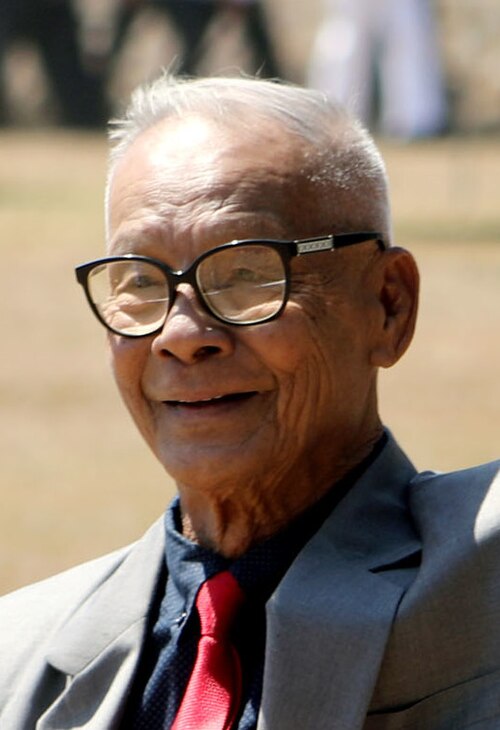 Portrait of Rodolfo “Pong” Biazon