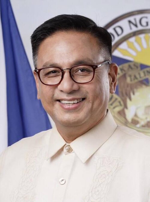 Portrait of Rozzano Rufino “Ruffy” Biazon