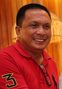 Portrait of Roel Degamo